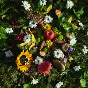 MANIFESTING WITH THE ARCHETYPES: online course with Chris Waters