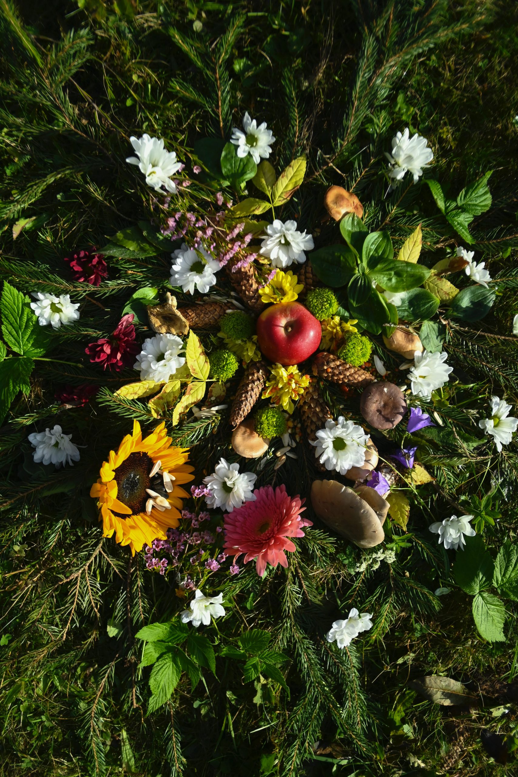 MANIFESTING WITH THE ARCHETYPES: online course with Chris Waters